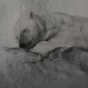 joey leone - @starwars13 - Twitter