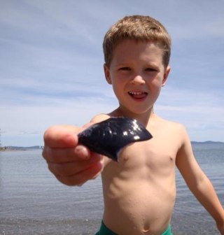 mdfoulds's profile picture. An experienced #FinTech & #RegTech advocate, delivering Business #Innovation #Strategy & #DigitalTransformation across #FinancialServices