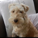 David Buckingham - @davidotcom - Twitter