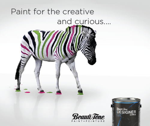 Beauti-Tone Paint Expert