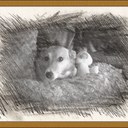 Jacqui Taylor - @Jaqjaq16 - Twitter