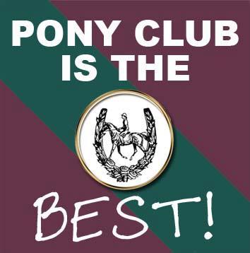 Help us re-build our Pony Club please!  http://t.co/4nBCKbeiIx