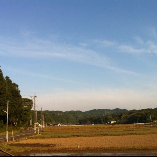 AzuAzuAzum's profile picture. 