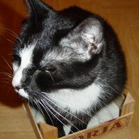 Tilman Hausherr (@passwort12345) 's Twitter Profile Photo