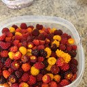 Chris Farber - @chris_farber - Twitter