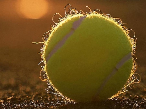 Joueur de tennis, passionné de tennis qui parle de tennis... ;)
