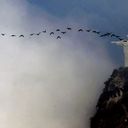 Daniel Italiano - @DanielItaliano2 - Twitter