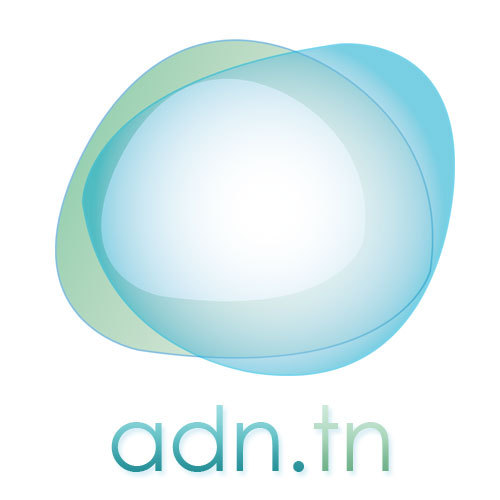 ADN est la division e-Tourisme de l'agence Web Design