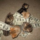 kwesi edwards - @kwesi592 - Twitter