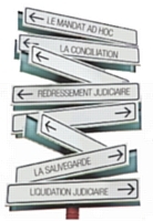 Avec humilité, analyse et pragmatisme: le journal de la liquidation de ma TPE ... La liquidation fait partie du métier d'entrepreneur ...