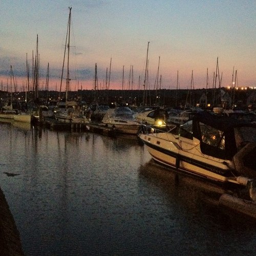 mytravelforum's profile picture. 