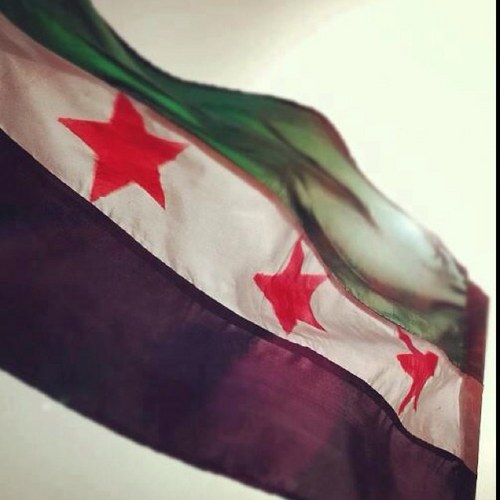 haifa_atassi's profile picture. 