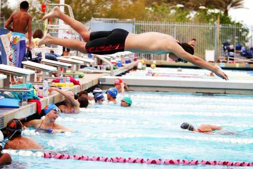 I swim, you swim, we all swim. Tweet me your struggles and I'll retweet them.(: #FollowMe.