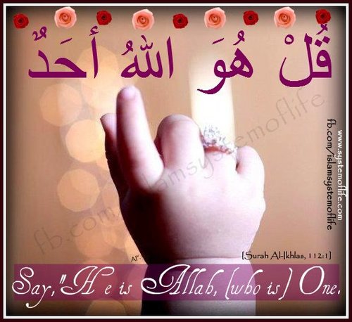 Islamic knowledge from Quran & Sunnah ( Ahlus Sunnah Wal Jamah, Salaf as Saalih ). Islam is submisssion to Allah alone & teachings of last Prophet Mohammed