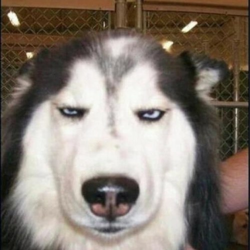 Phil_at_sea's profile picture. Cruise Addict