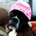 Steve Osmond - @steveosmo - Twitter