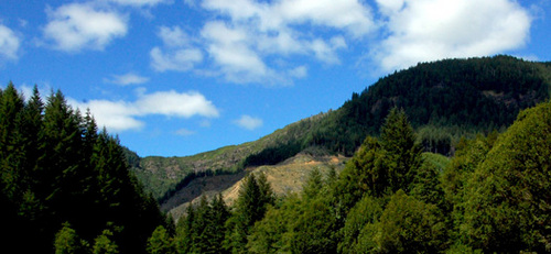 campremote's profile picture. Camp Remote is a #campground + retreat center, for group camps in southern #Oregon Coastal Range mountains