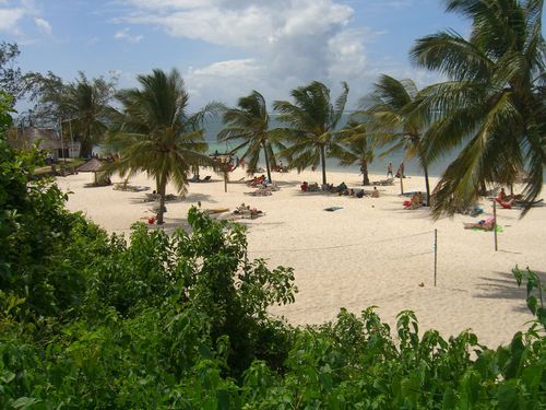 ChKunzmann's profile picture. 