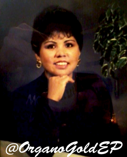 OrganoGoldEP's profile picture. Distribuidor Independiente de OrganoGold. El café saludable con Ganoderma, un hongo con más de 150 antioxidantes. Email: juanita.valtierra@gmail.com