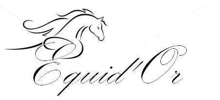 CEEquidor's profile picture. 