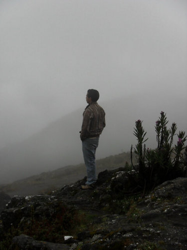 Estudiante de Ingeniería Geologica