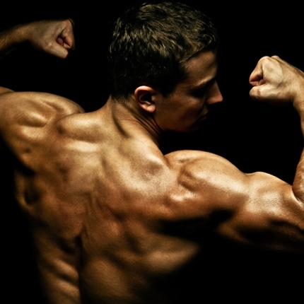 Bodybuilding News, Blogs, Photo Gallery ,and Online Community.