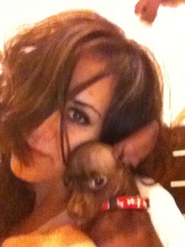 Pet Lover