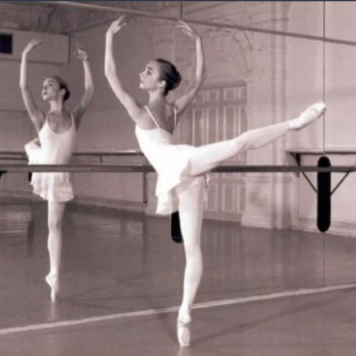 AbbychanLife's profile picture. 