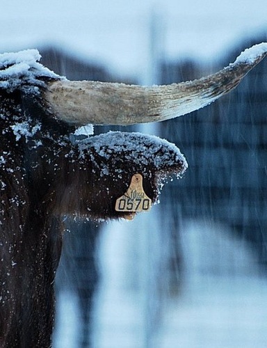 maximianopb's profile picture. 