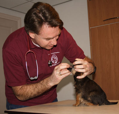 DrsZuiderduin's profile picture. Dierenarts