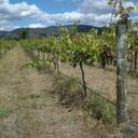 Rob Merkel - @ToombullupNorth - Twitter