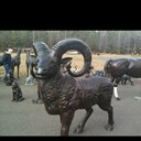 Cathy Whitlock - @themom669 - Twitter