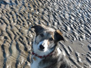 kitmorgan63's profile picture. 