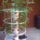 Sue Rector - @nanasooz - Twitter