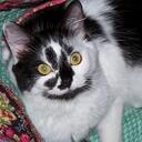 Jayne Ellen Bryant - @Jayne_Ellen - Twitter