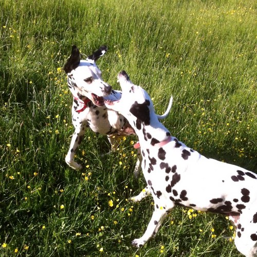 pdwalker53's profile picture. 