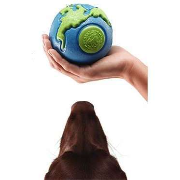 Everything related to Love & Care for our Pets, our Environment & our Planet.