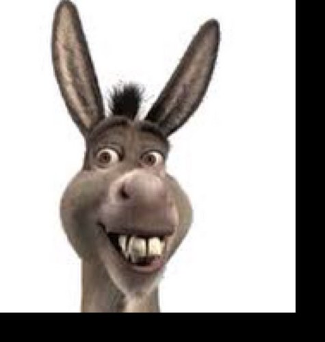 Berme84's profile picture. 