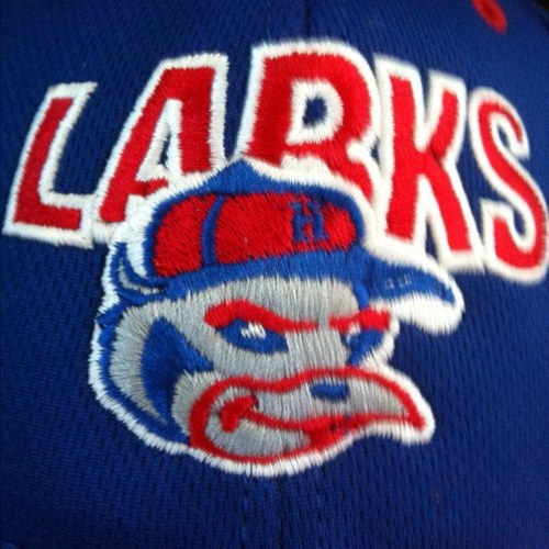 Hays Larks