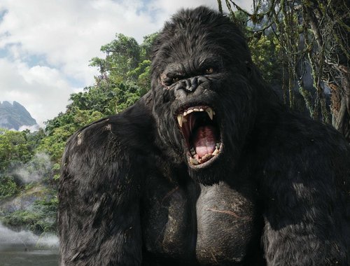 Now I have to come up with a whole new bio for King Kong.