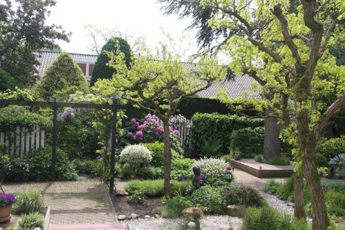 pimpqsr's profile picture. 