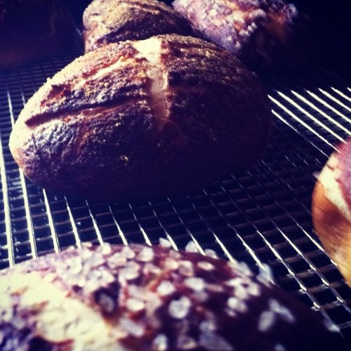 ilovecans's profile picture. 