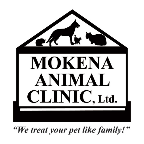 Mokena Animal Clinic, Ltd. is a full service 5-doctor animal medical and surgical facility.