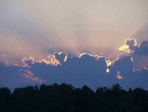 I am a photographer in the town of Knox, NY. My motto- Capturing God's Love, One Photo at a Time