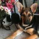 Pam Jarrell - @PamCJarrell - Twitter