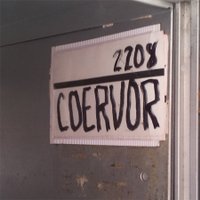 Elizabeth Coerver (@lizcoerver) 's Twitter Profile