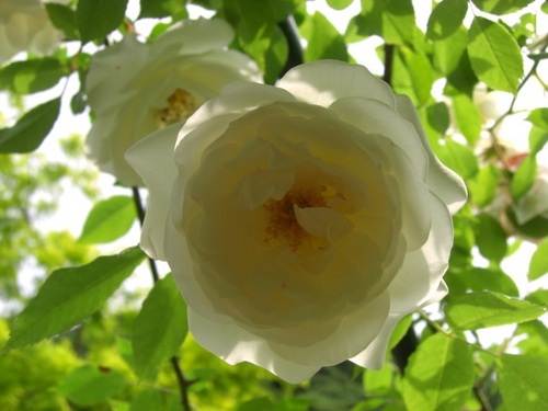 krisunaa's profile picture. 