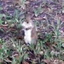 michael tinkham - @mailguymike - Twitter