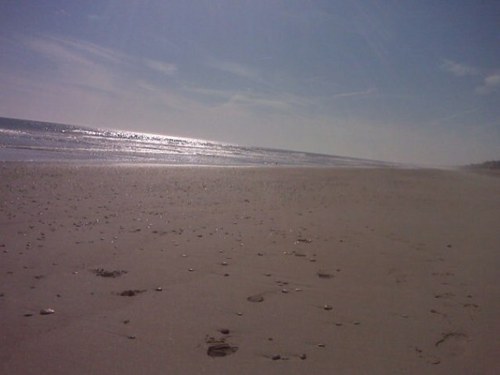 NCarolinaNC's profile picture. NC born and raised. Follow me for NC news, info, and so much more!