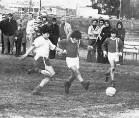 Periodista (Lic.Comunicacion UBA)/PRENSA/ex tyc sports/#BichosCriollos,el documental de AAAJ https://t.co/lTGT3u8bgI